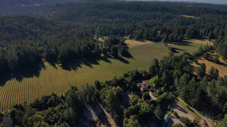 Beauregard Vineyards’ Chardonnay 2018 Worthy of a Special Occasion