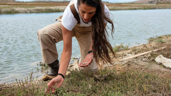 Elkhorn Slough Restoration Project Receives $1.3M Grant