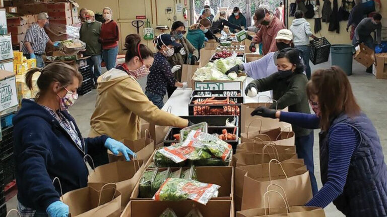 Santa Cruz Groups Support Older Adults During Pandemic