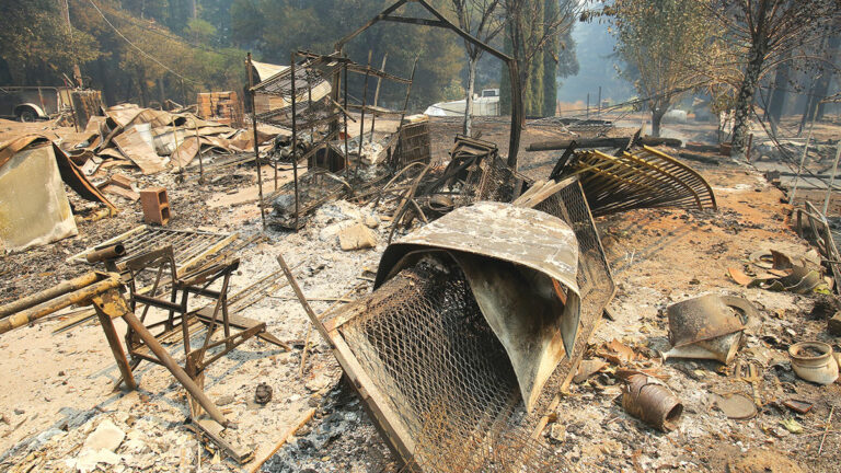 Opinion: The Complex Future of the Santa Cruz Mountains