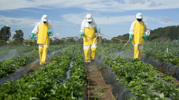 Pesticide Use in California Remains at Near-Record High