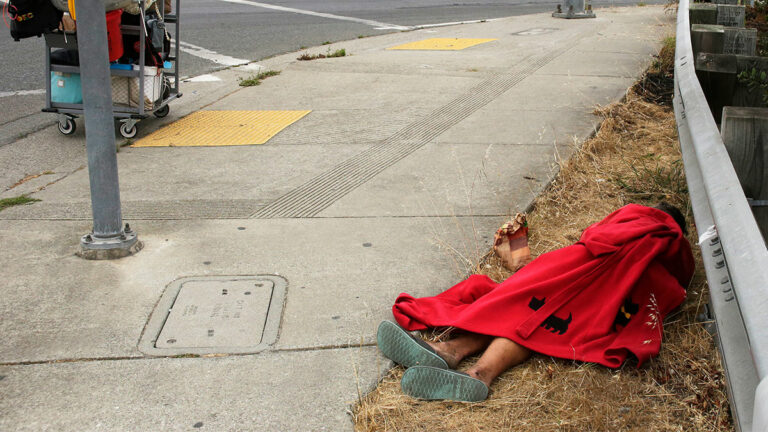 Ten Big Ideas for What to Do About Santa Cruz’s Homeless Crisis