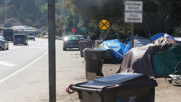Santa Cruz City Council to Consider Camping Ordinance