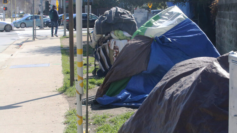Santa Cruz City Council Approves Ordinance on Homeless Camping
