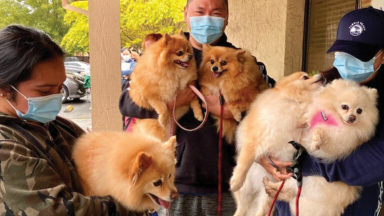 Santa Cruz County Animal Shelter Reinstates Free Pop-Up Clinics