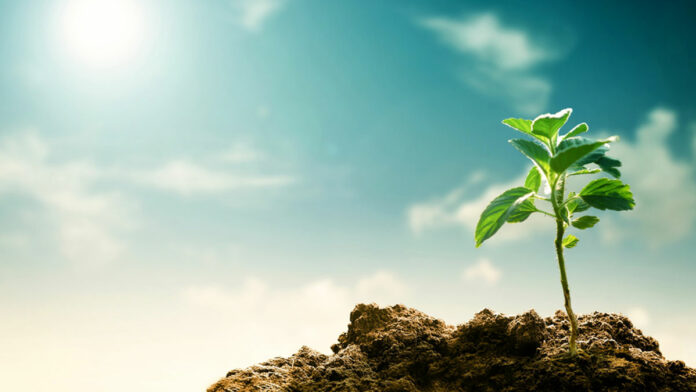 Key Takeaways on Resiliency and Equity from the Climate of Hope Forum