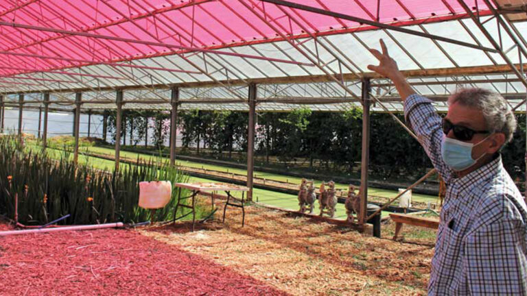 Watsonville Farm, Biotech Company Receive Major Grant from USDA