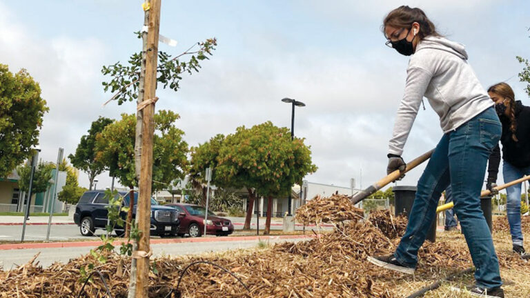 Opinion: Honoring the Original Intentions of Earth Day