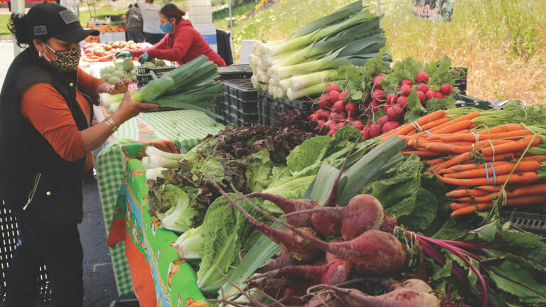 New Seasonal Farmers Market Opens at Ramsay Park