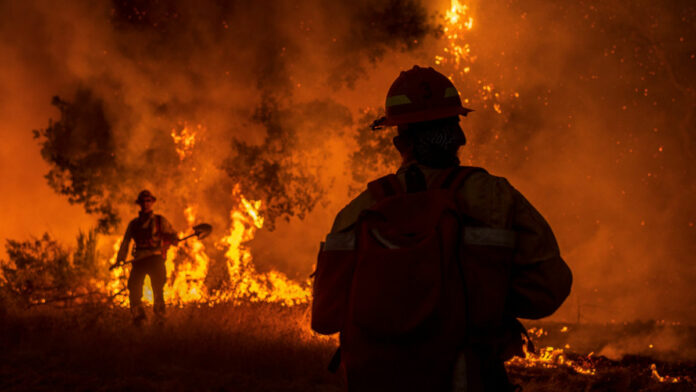 Members of Congress Call for Year-Round Federal Firefighters