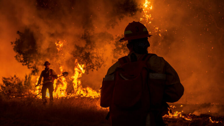 Members of Congress Call for Year-Round Federal Firefighters