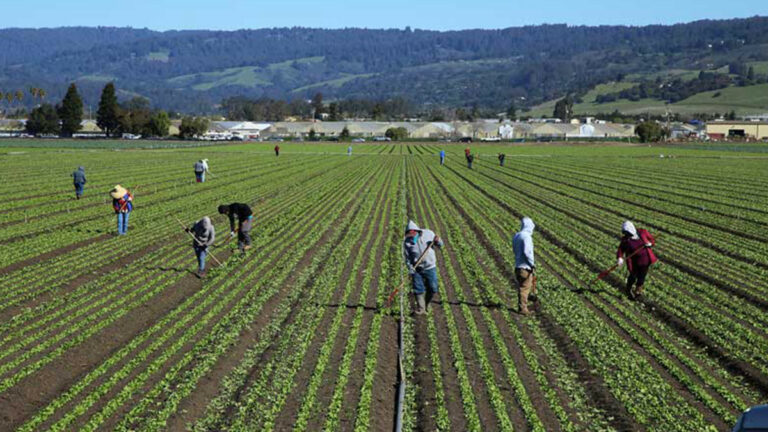 Bill Bolstering Wildfire Protections for Farmworkers Advances