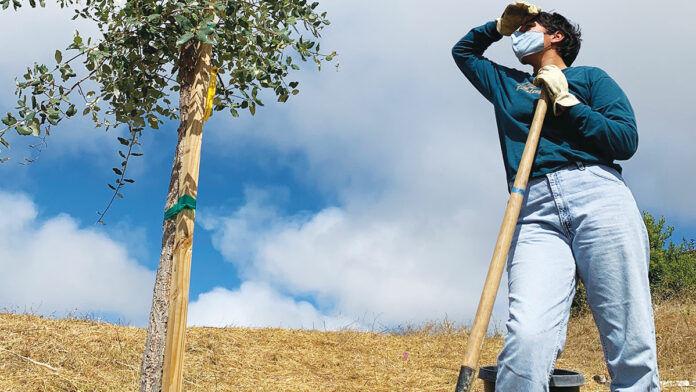 Has Covid-19 Changed Climate Activism for Good?