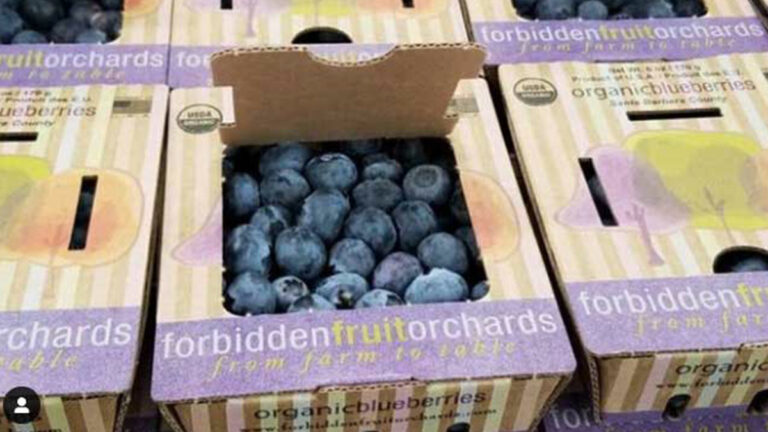 Sambrailo Sees Major Growth in Sustainable Packaging Line