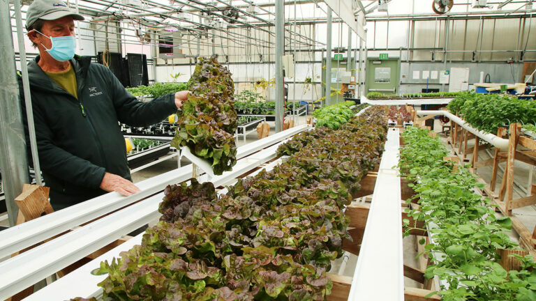 Cabrillo College Horticulture Promotes Sustainability Through Hydroponics