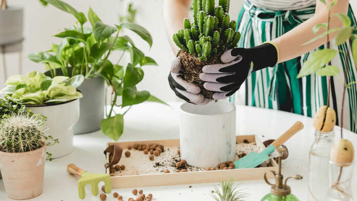Home and Garden Resource Guide 2021