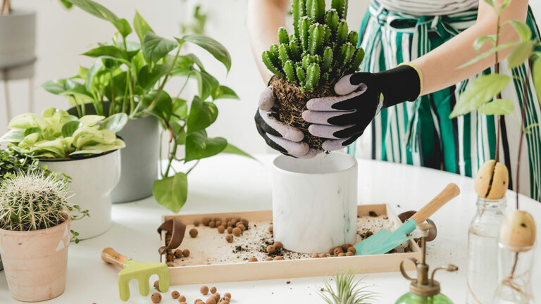 Home and Garden Resource Guide 2021