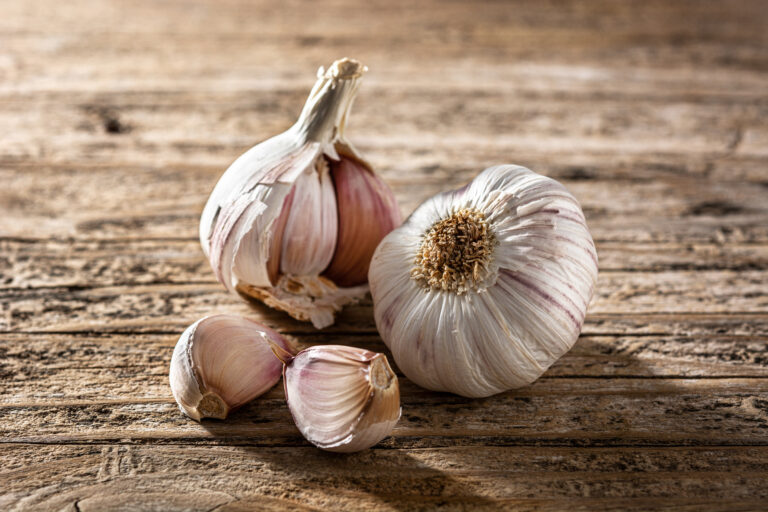 Gilroy Garlic Festival Set to Return, Announces 2021 Events