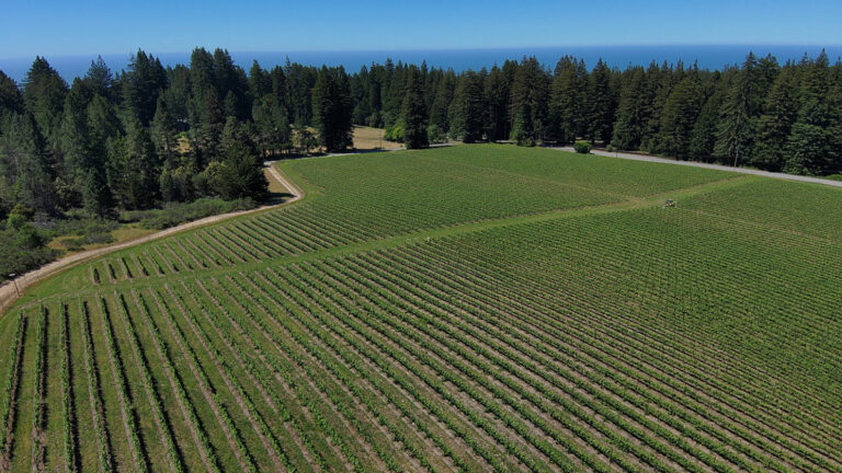 Beauregard Vineyards’ Superb, Rich Pinot Noir 2017
