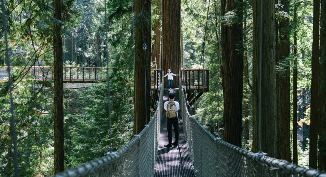 california tourism