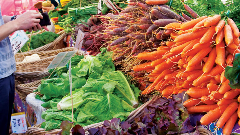 Explore Santa Cruz 2021: A Guide to Santa Cruz Farmers Markets