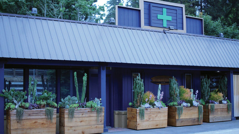 Santa Cruz Naturals Dispensary Celebrates 10 Years