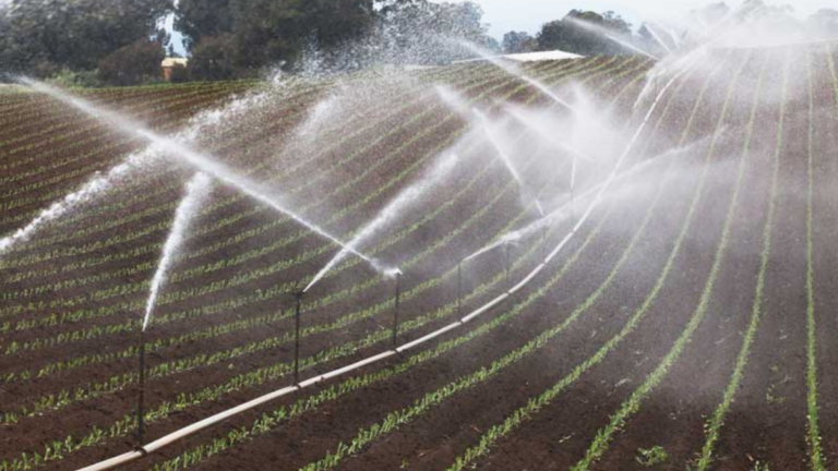 Local Water Agency Works Toward Long-term Drought Solutions