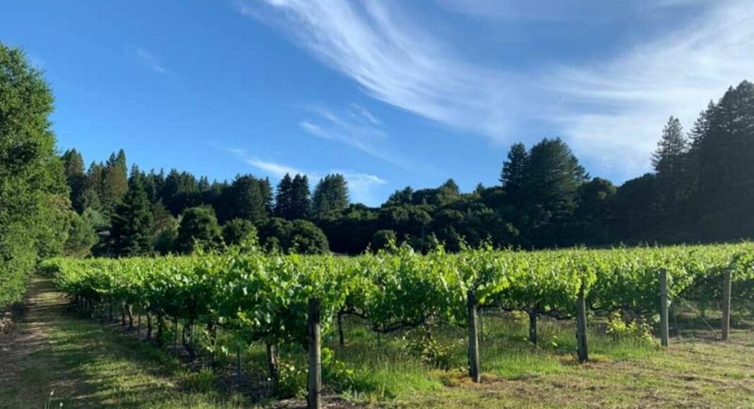 local-wineries