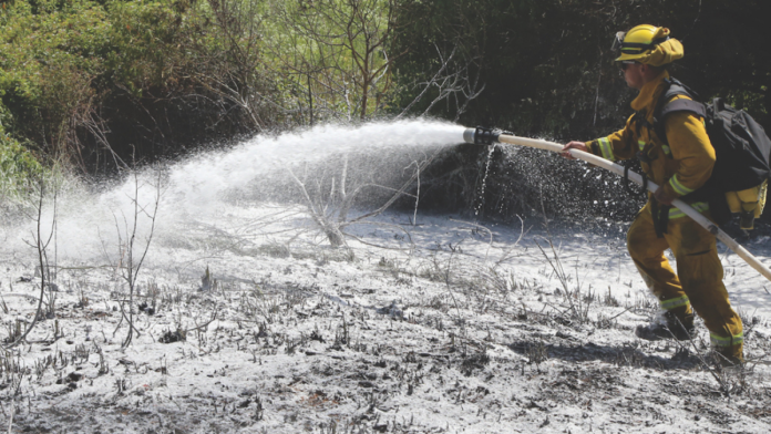 Watsonville Fire, Police Staffing Slowly Climbs as Pandemic Recedes wild-land-fire-5.17