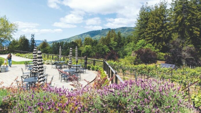 Wrights Station 2019 Pinot Gris is Flavorful White Wine with Richness and Body wrights-station-win