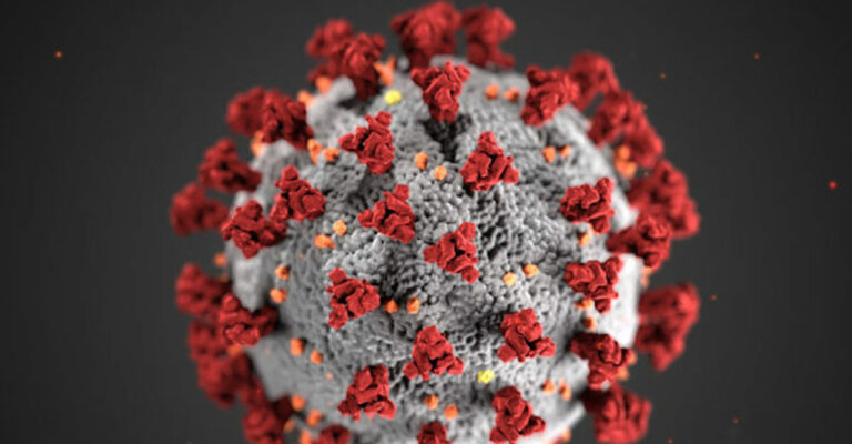 Covid-19 Outbreak Linked to Show at Felton Music Hall
