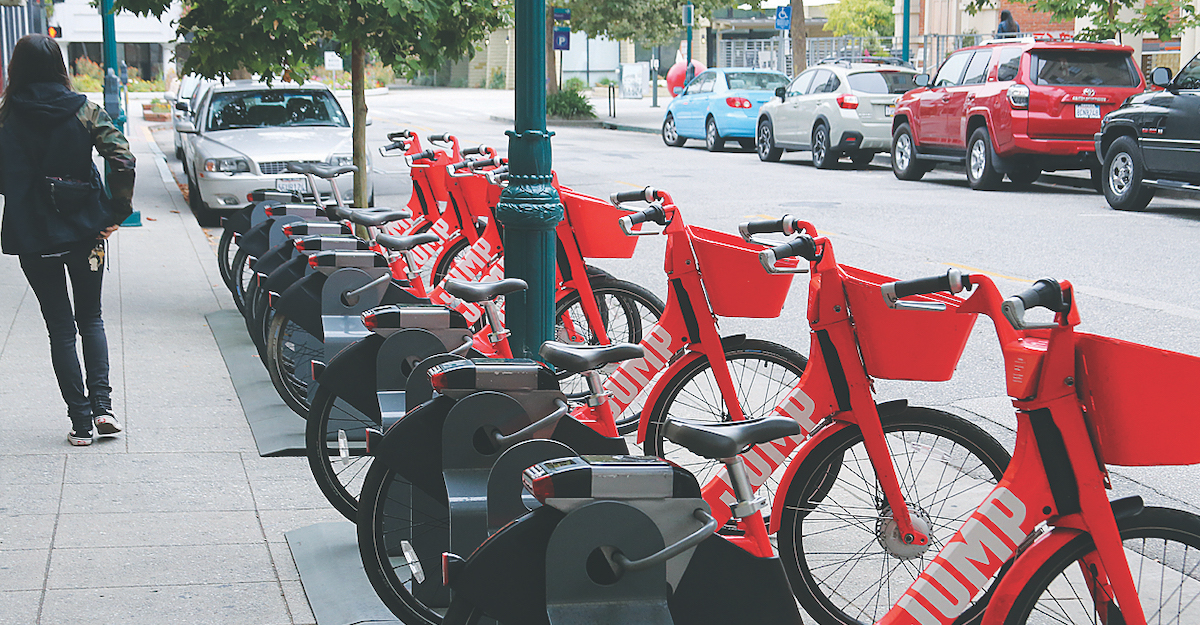 santa cruz bike hire