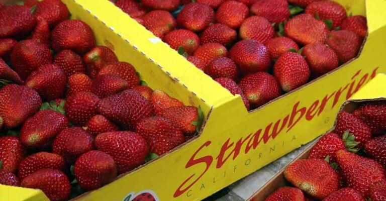 Watsonville Strawberry Festival Returns this Weekend