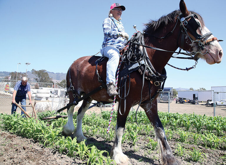 Santa Cruz County Fair Preps for Return