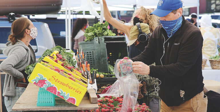 From Sea to Sky Farm Squashes to Holey Roller Bagels, the Season is Bountiful for Local Farmers Markets