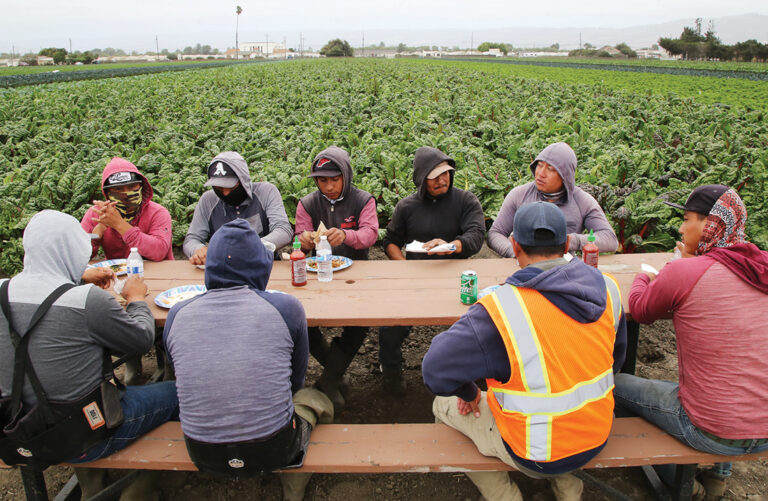 Santa Cruz Businesses Show Appreciation to Farmworkers
