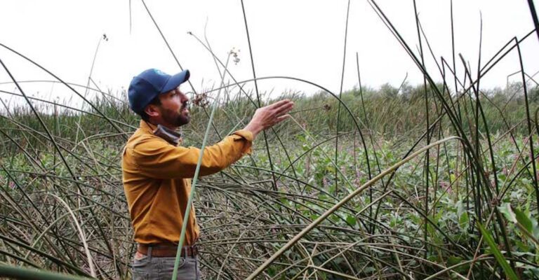 Watsonville Wetlands Watch Celebrates 30th Anniversary
