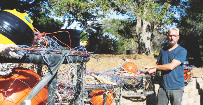 Dungeness Crab Season Could be Delayed Again this Year