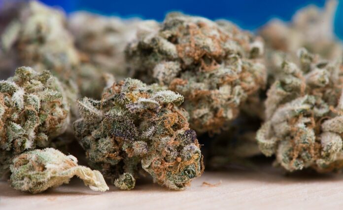Santa Cruz City Council Rejects Affordable Housing Project, Probes Equity in Cannabis Industry