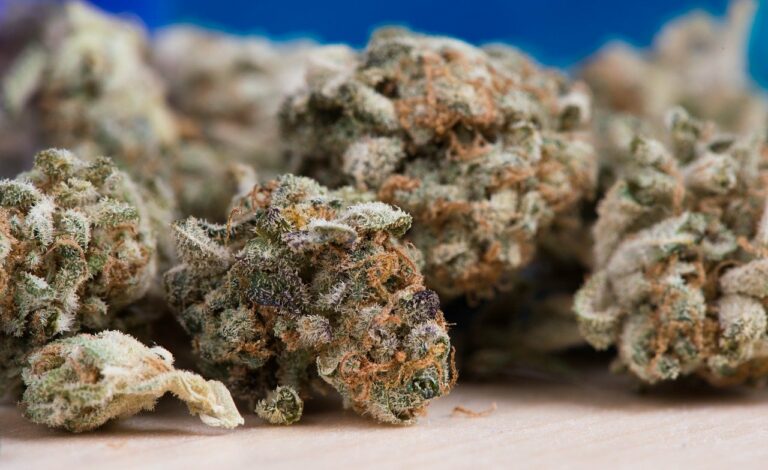 Santa Cruz City Council Rejects Affordable Housing Project, Probes Equity in Cannabis Industry