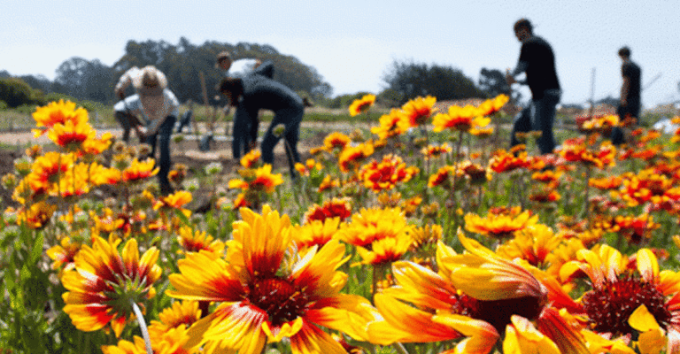 Santa Cruz Gives Kicks Off Its Biggest Campaign Ever
