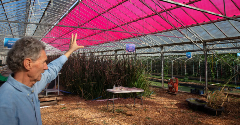 Sustainable Systems Research Foundation Seeks Funding for its ‘Urban Food Initiative’