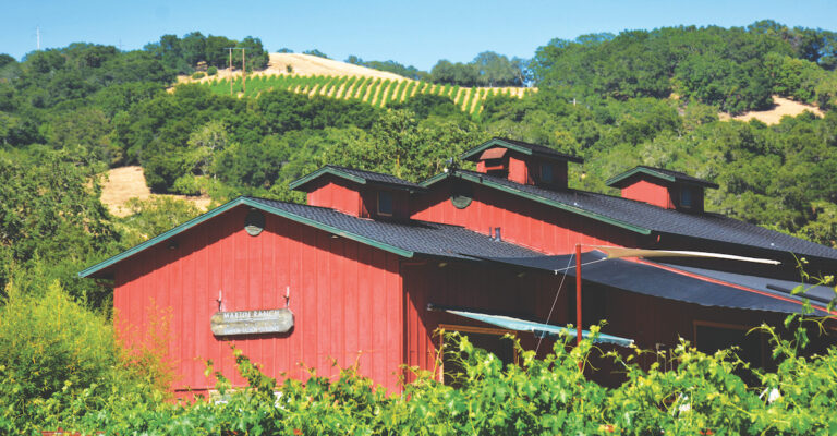 Martin Ranch Winery’s Malbec is Award Worthy