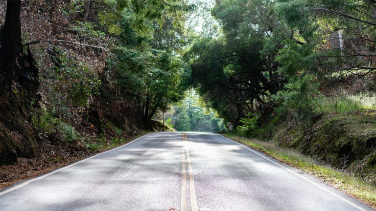 Sempervirens Fund Plans to Grow Big Basin State Park By 153 Acres