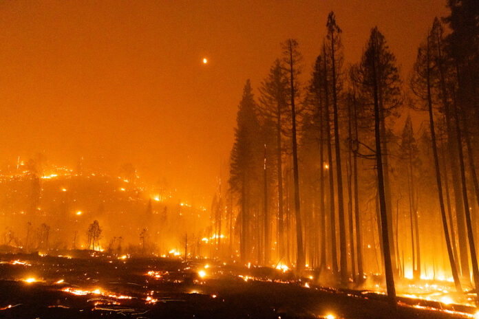 Biden Administration Announces Plan to Spend Billions to Prevent Wildfires