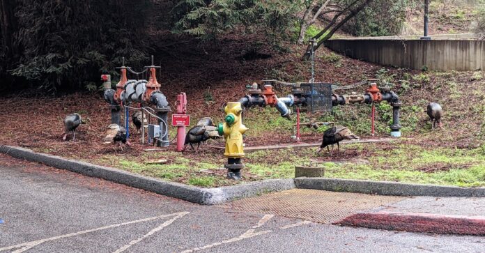 Will UCSC Make Its Target Date for In-Person Learning?