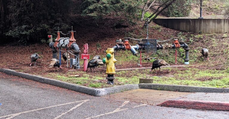 Will UCSC Make Its Target Date for In-Person Learning?