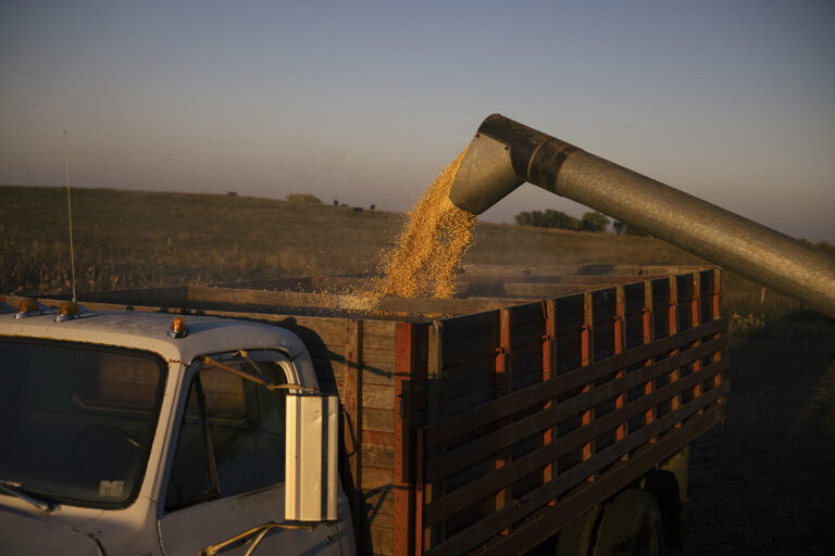 Food Prices Hit Two-Decade High, Threatening the World’s Poorest