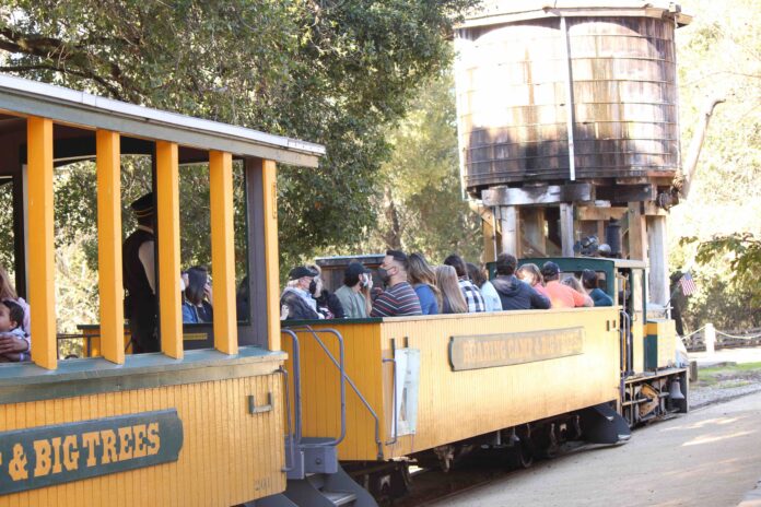 Letter to the Editor: Forcing the Issue