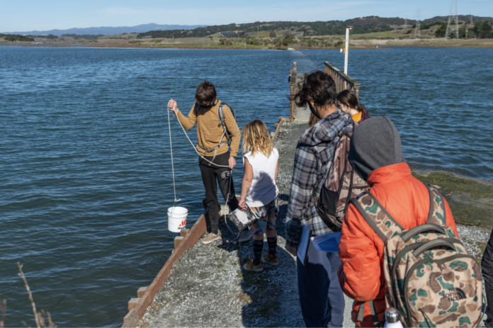 Mt. Madonna Students Help With Elkhorn Slough Monitoring mount madonna students